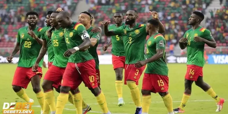 Giới thiệu thông tin chung về đội tuyển Cameroon